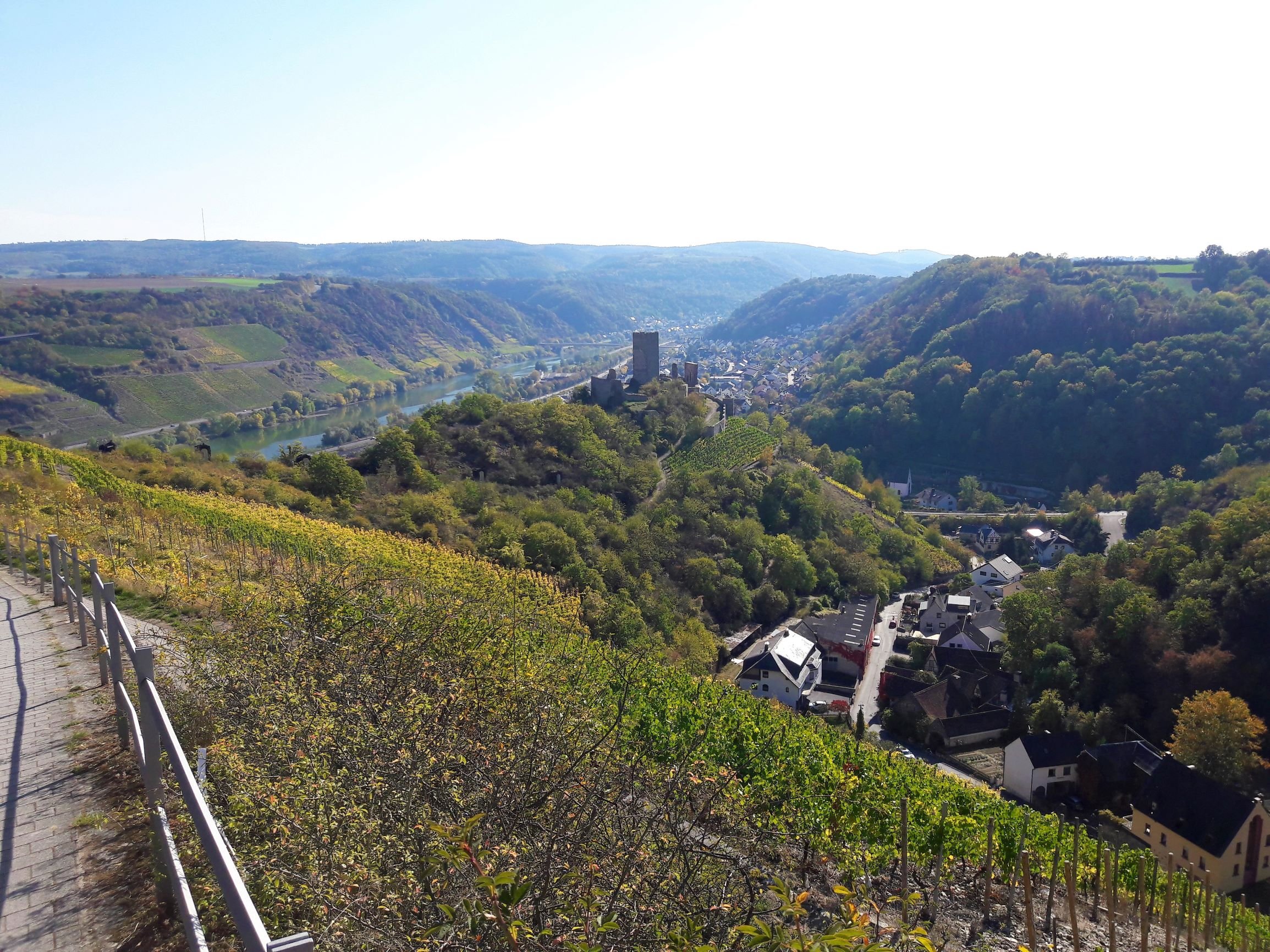 Aussicht auf Niederburg 